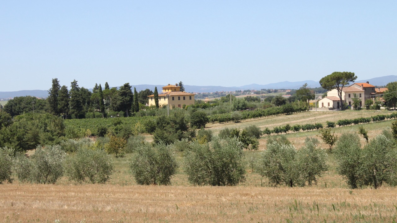 Photo of Outdoor in Cortona