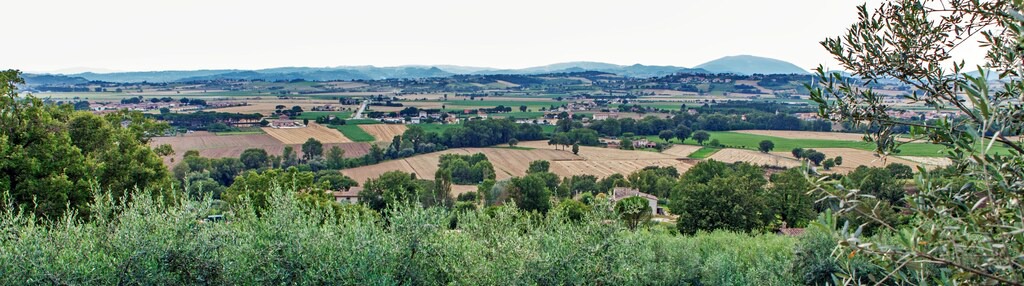 Photo of Others in Lidarno