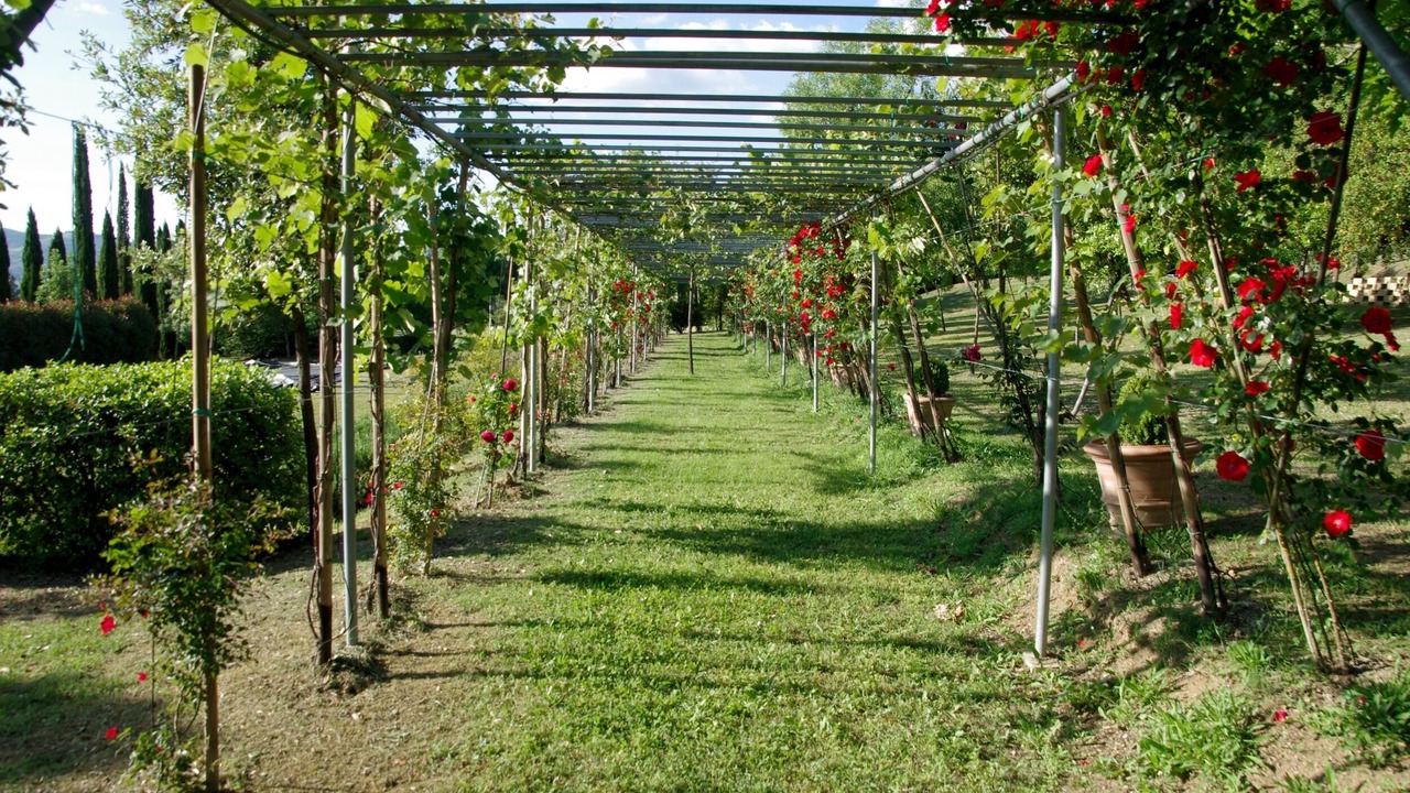 Photo of Outdoor in Corciano