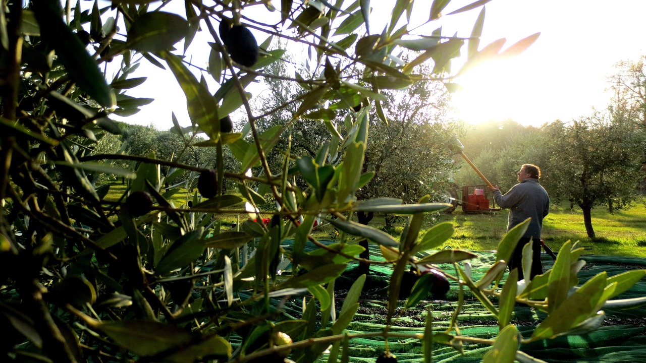 Photo of Outdoor in Montegabbione
