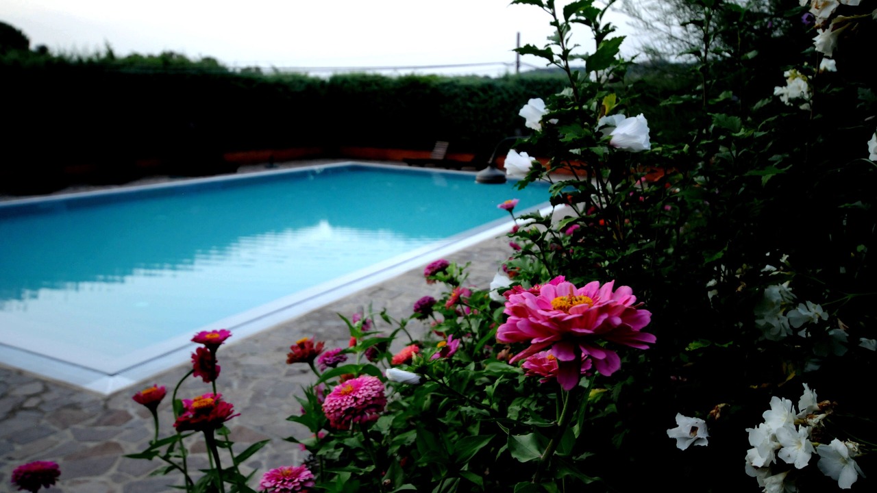 Photo of Outdoor in Montegabbione