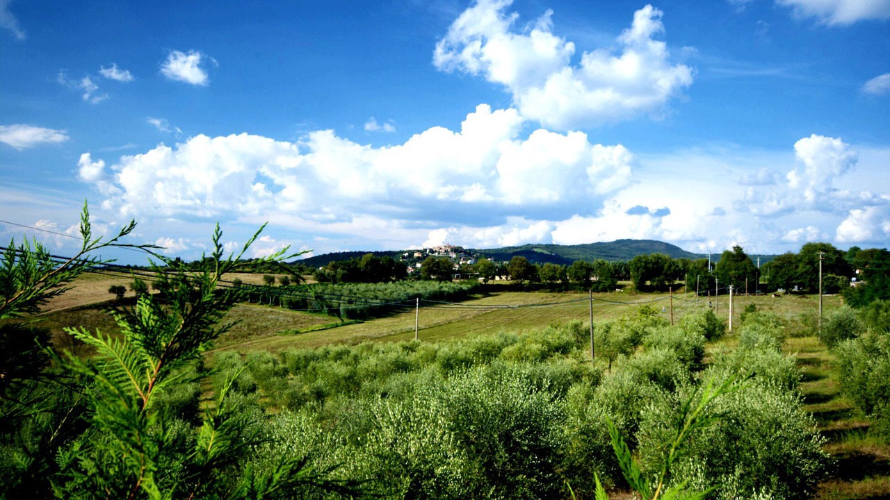 Photo of Outdoor in Montegabbione