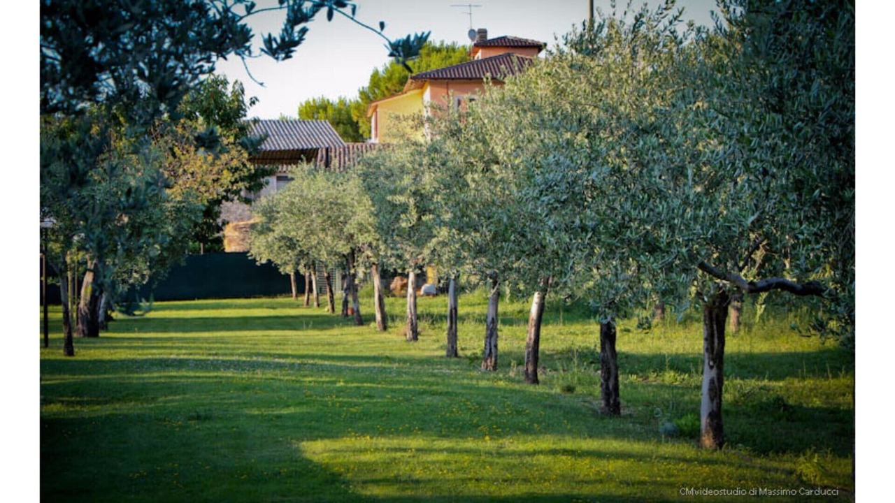 Photo of Outdoor in Montefalco