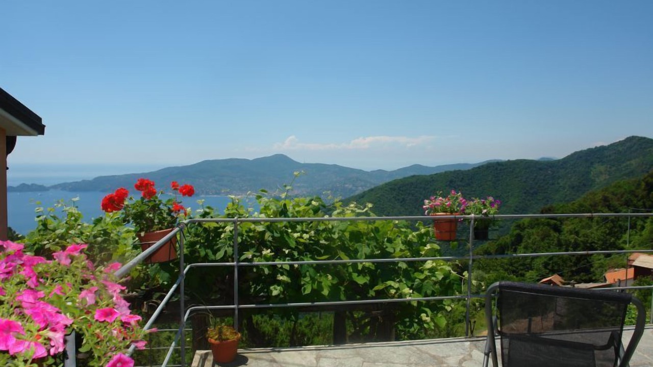 Photo of Others in Chiavari