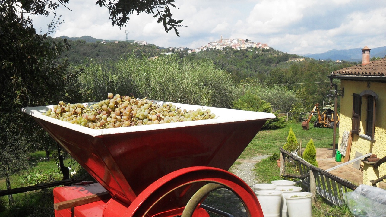 Photo of Outdoor in Vezzano Ligure