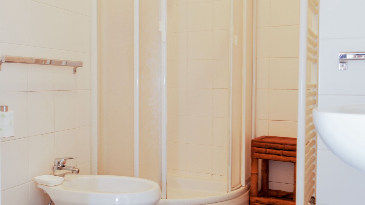 Photo of Bathroom in Dosso