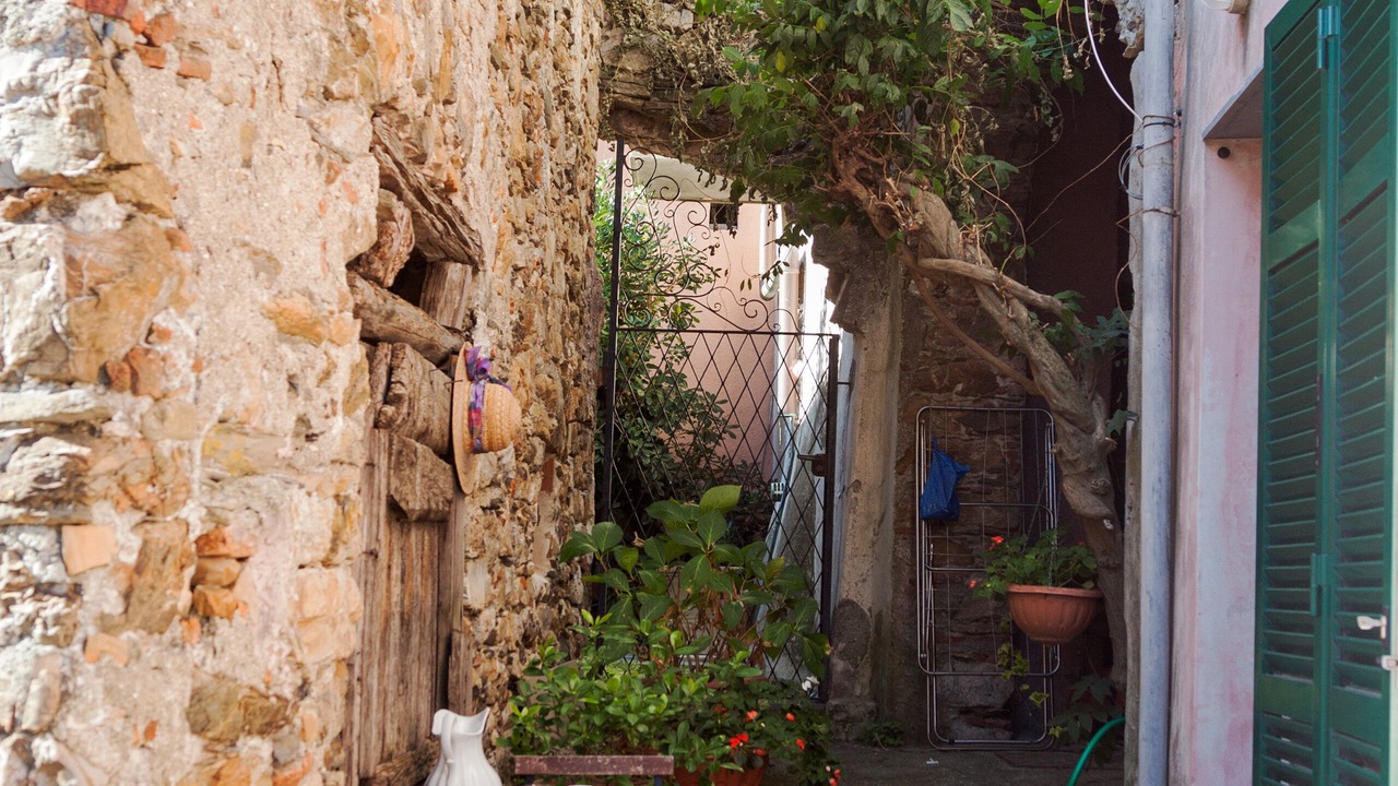 Photo of Outdoor in Dosso