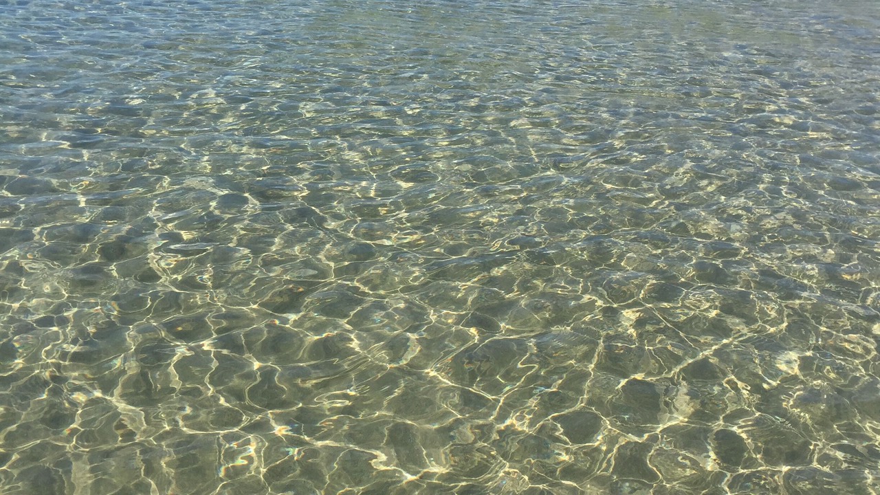 Photo of Others in Santa Marinella