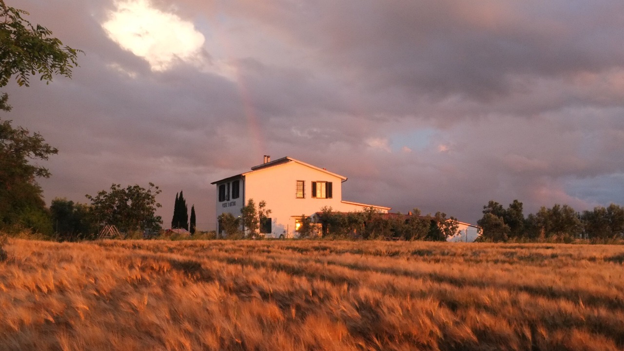 Photo of Outdoor in Tuscania