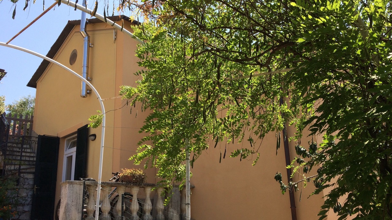Photo of Outdoor in Chiavari