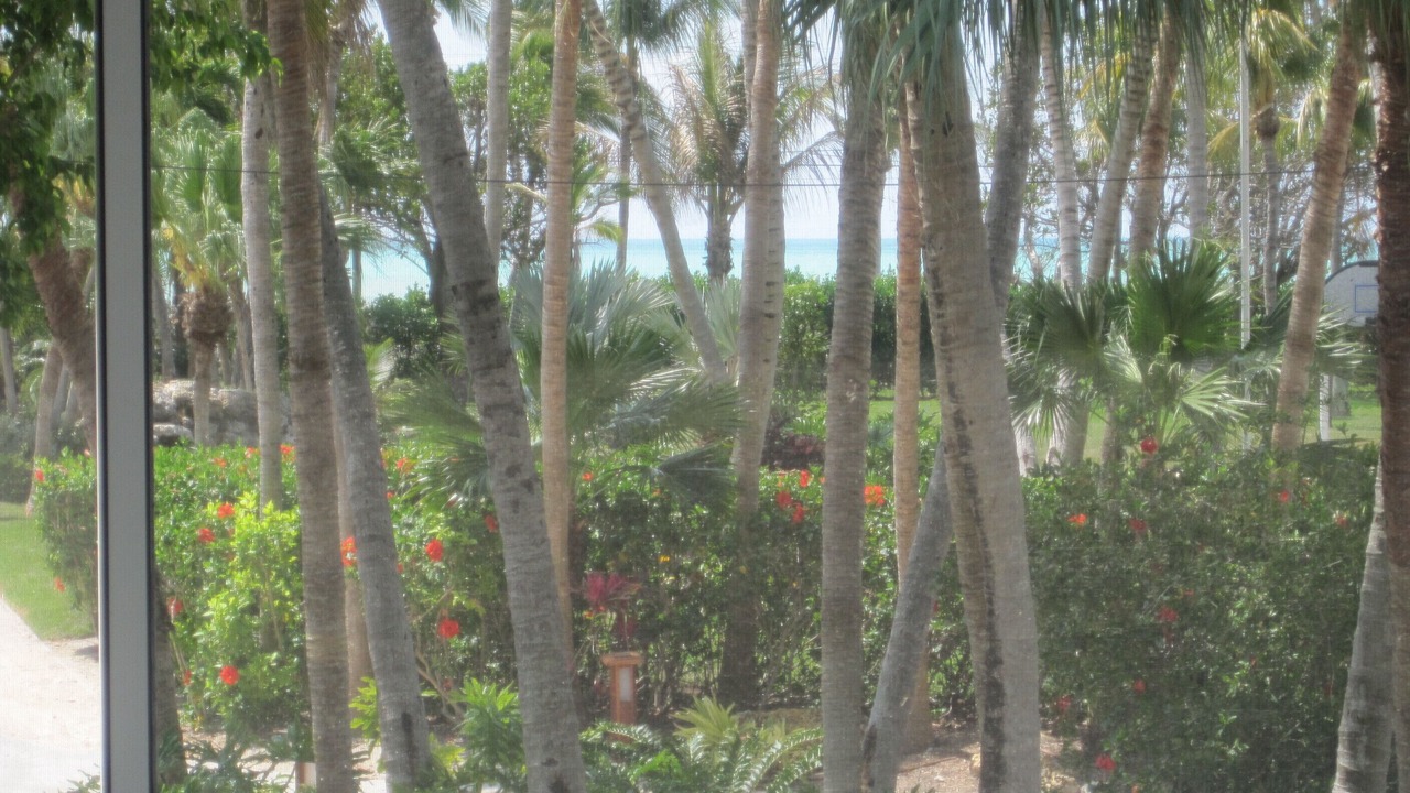 Photo of Outdoor in Islamorada