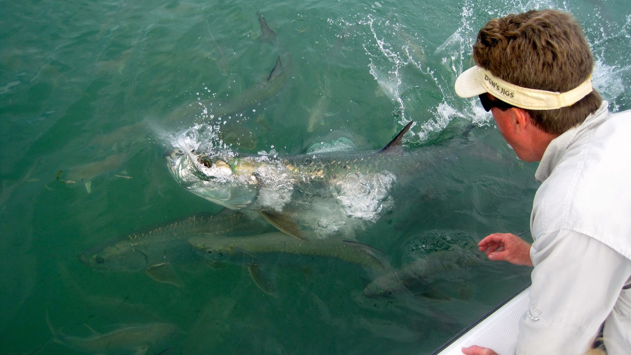 Photo of Outdoor in Islamorada