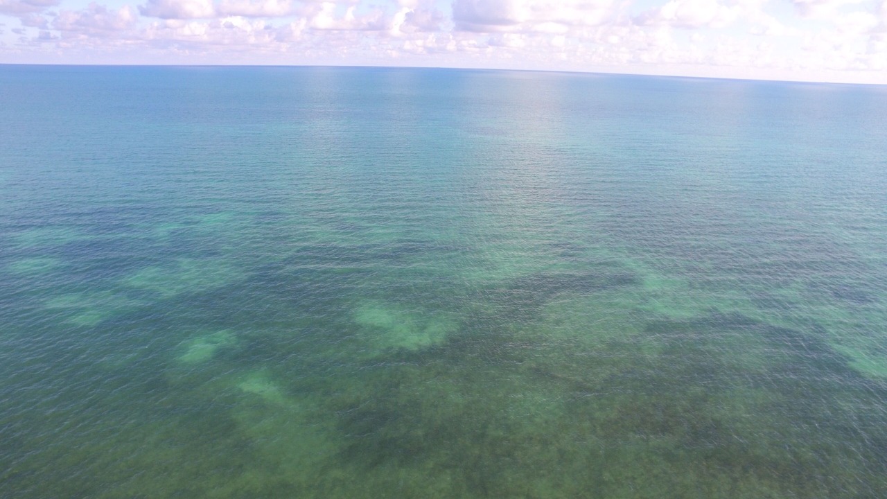 Photo of Others in Islamorada