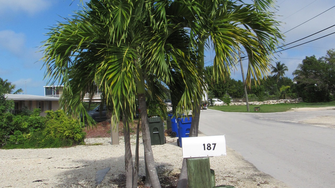 Photo of Outdoor in Tavernier