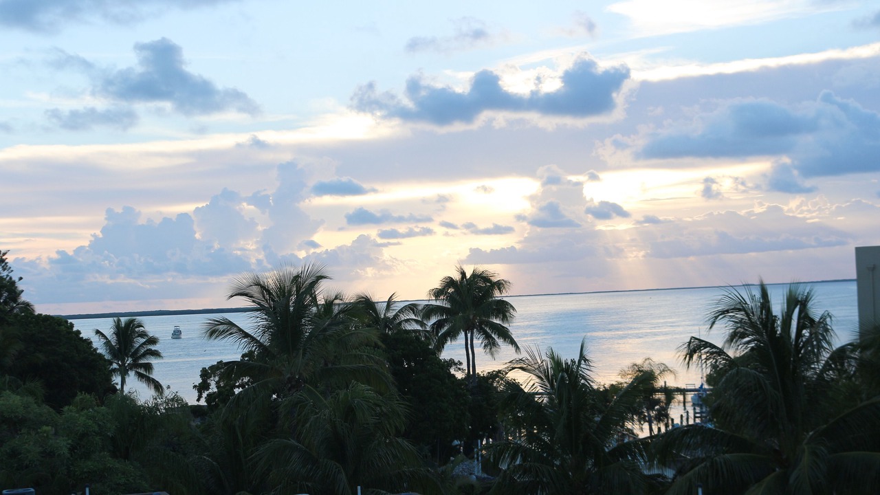 Photo of Others in Key Largo