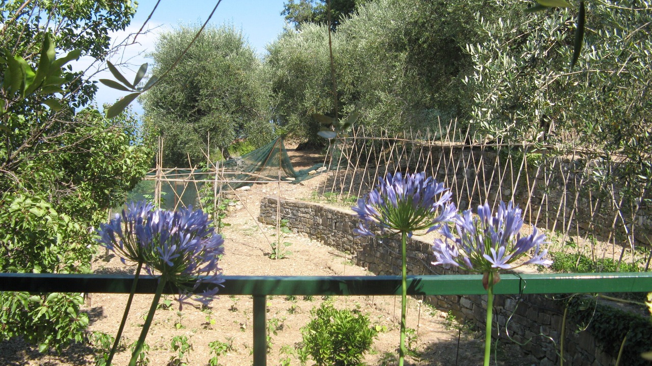 Photo of Outdoor in Diano Marina