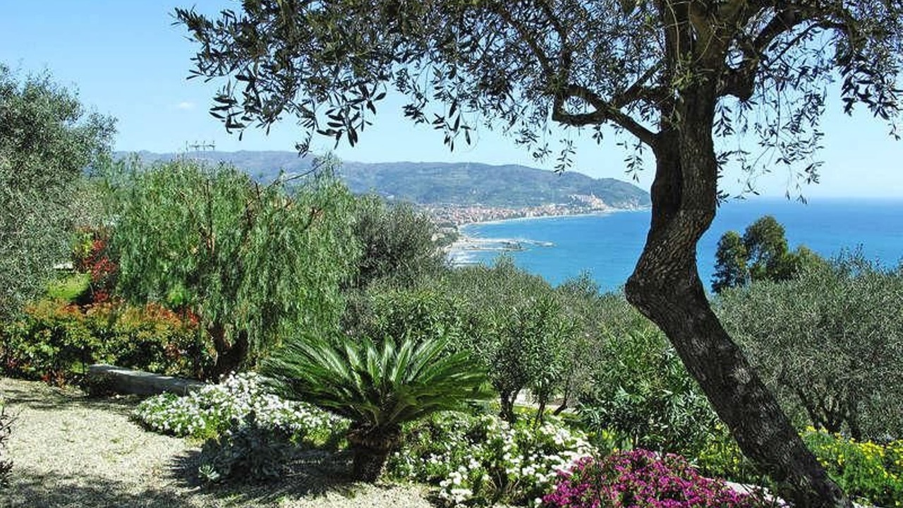 Photo of Outdoor in Diano Marina
