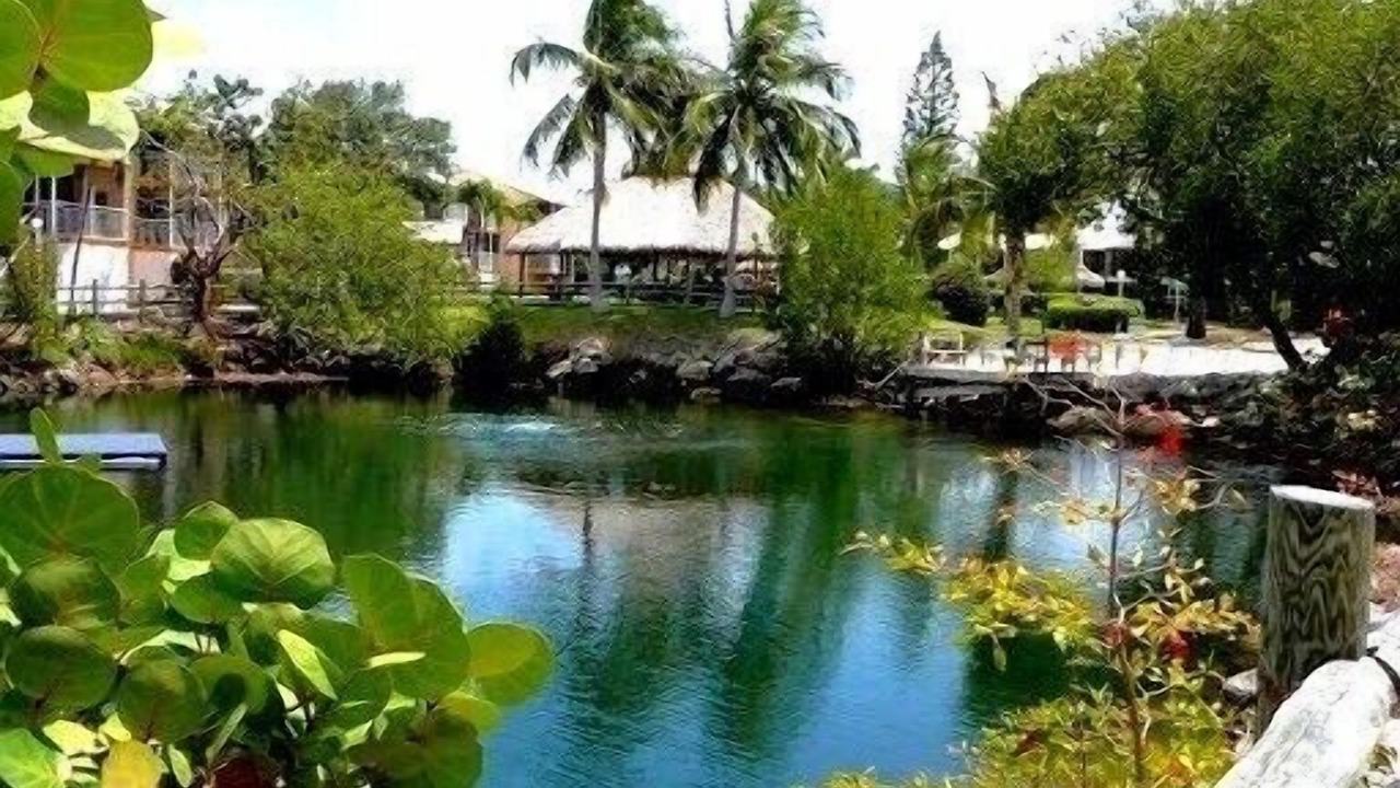 Photo of Others in Key Largo