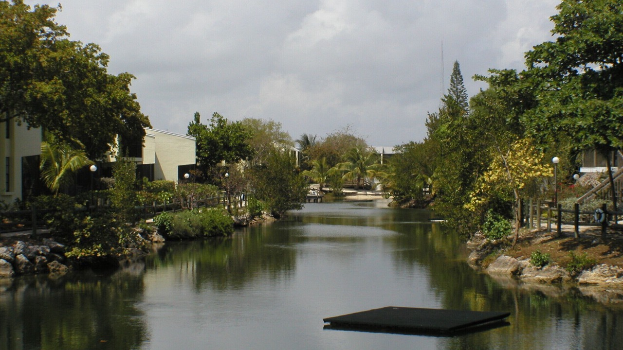 Photo of Others in Key Largo