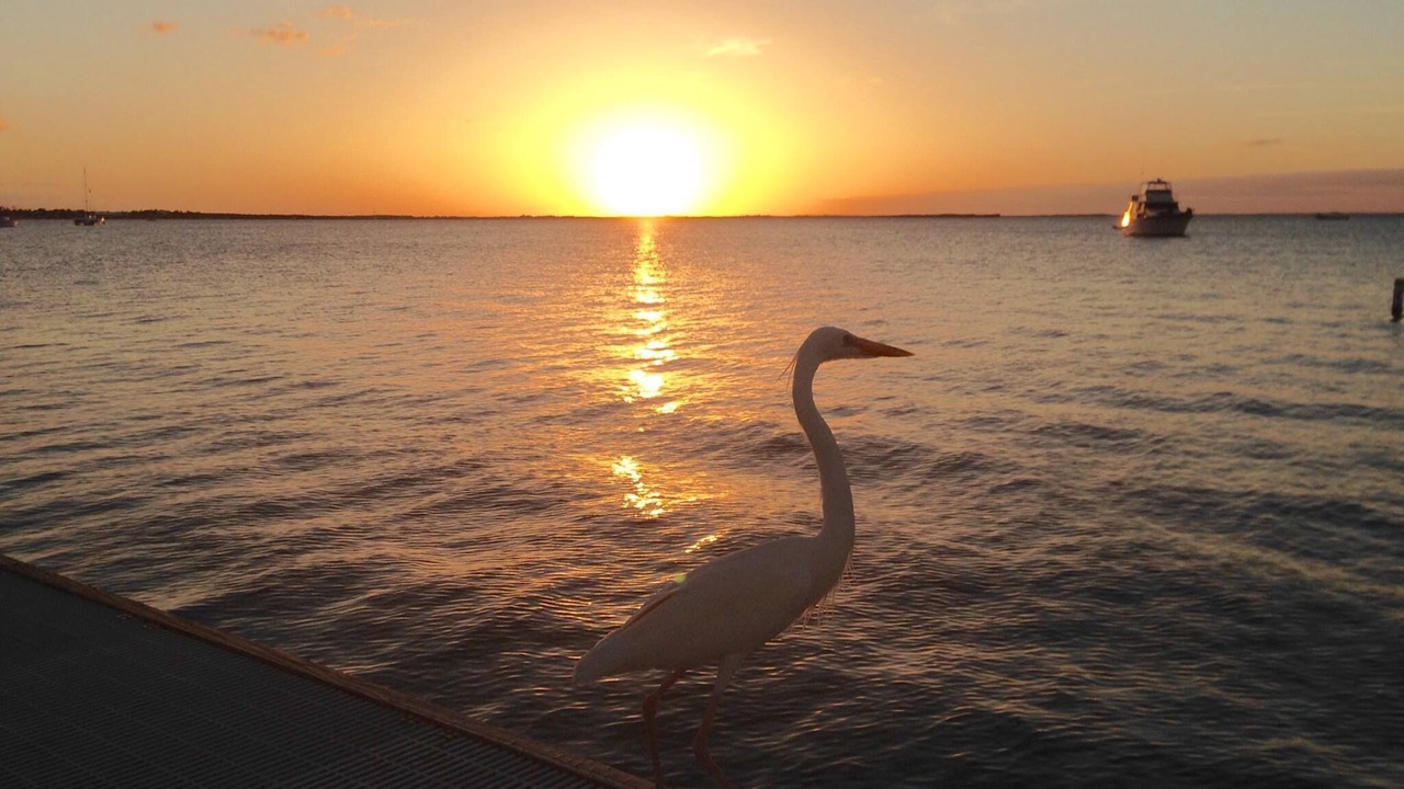 Photo of Others in Key Largo