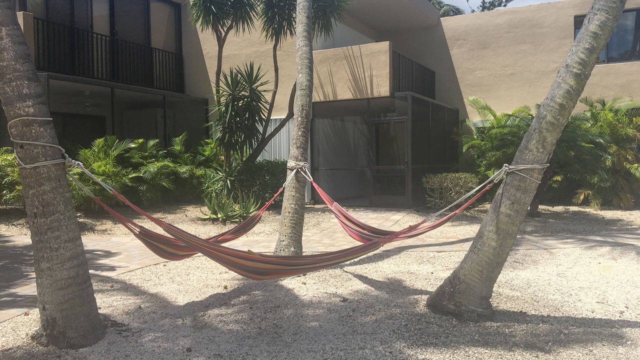 Photo of Others in Key Largo