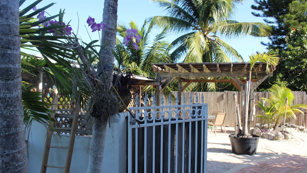 Photo of Patio Balcony in Sugarloaf Shores