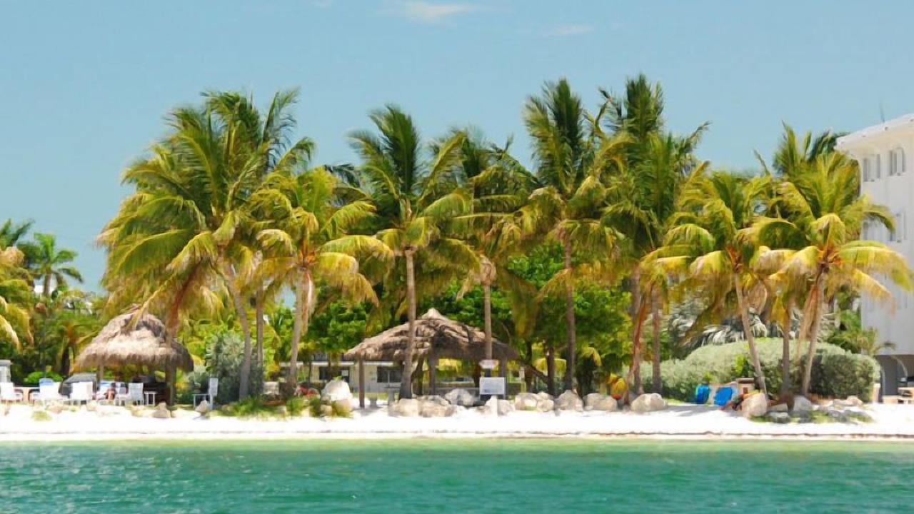 Photo of Others in Key Colony Beach