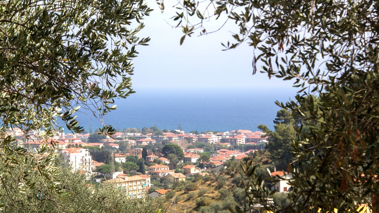 Photo of Outdoor in Diano Castello