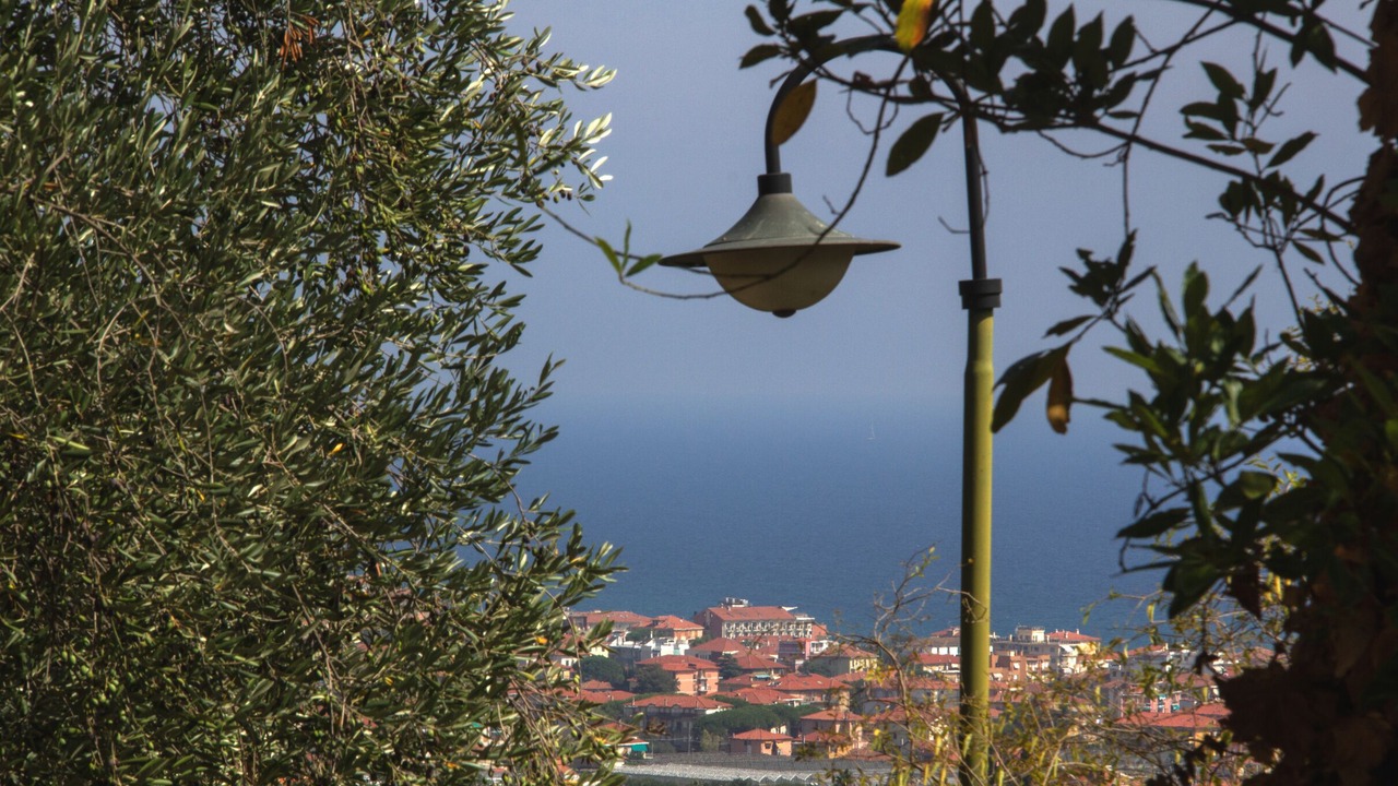 Photo of Outdoor in Diano Castello