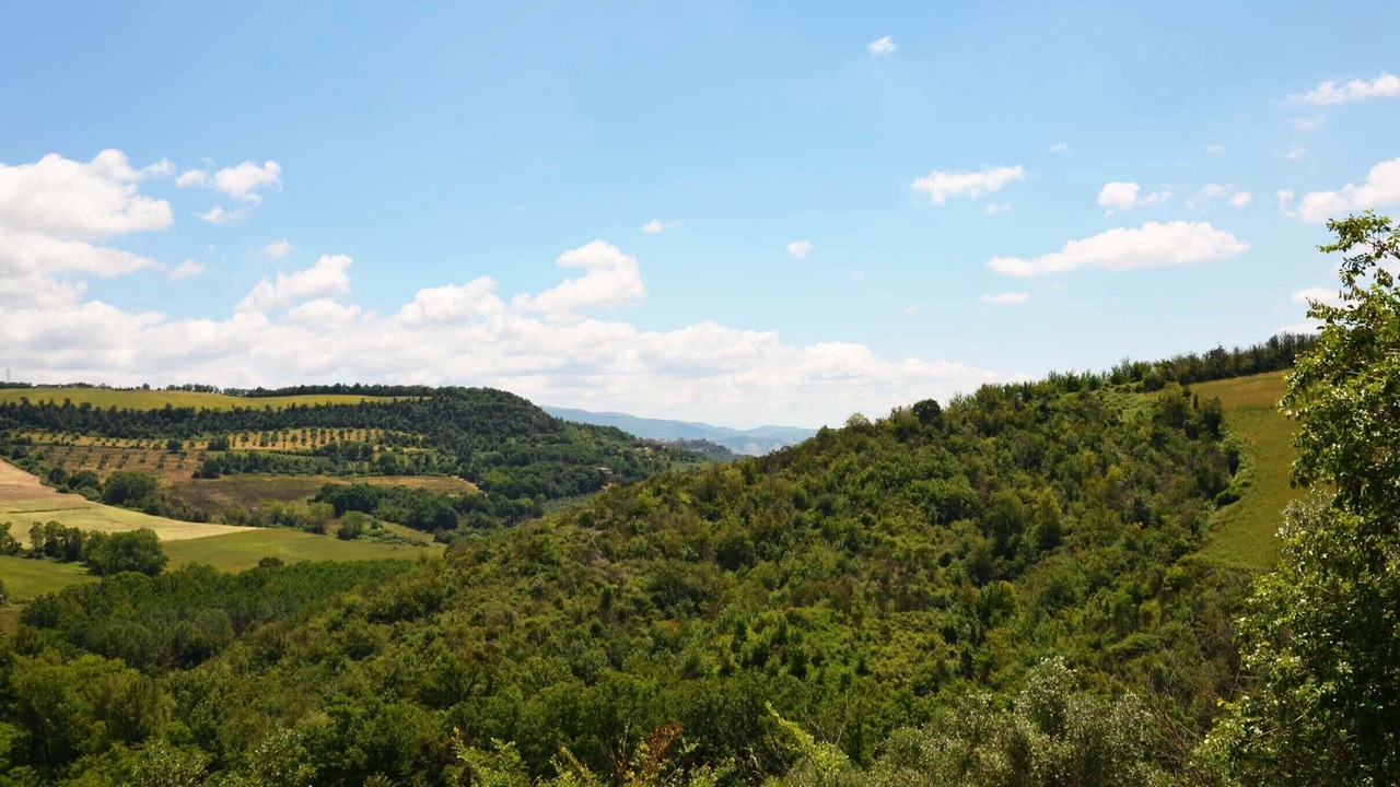 Photo of Outdoor in Corbara