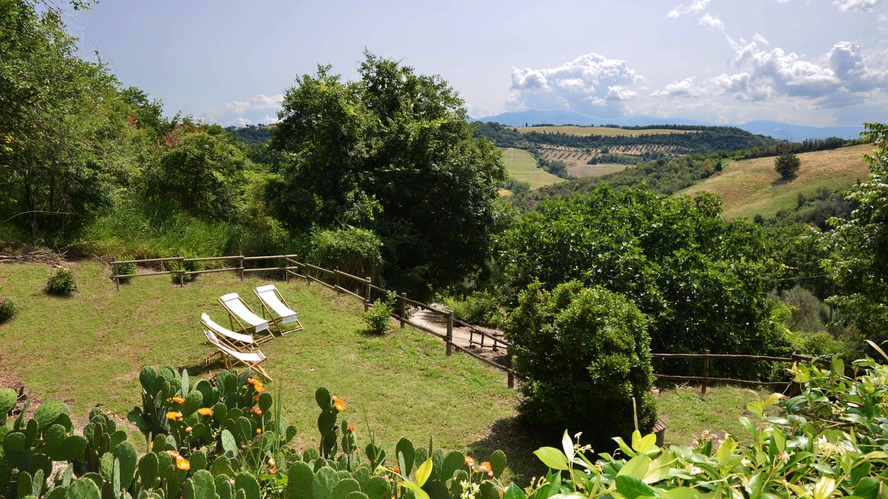 Photo of Outdoor in Corbara