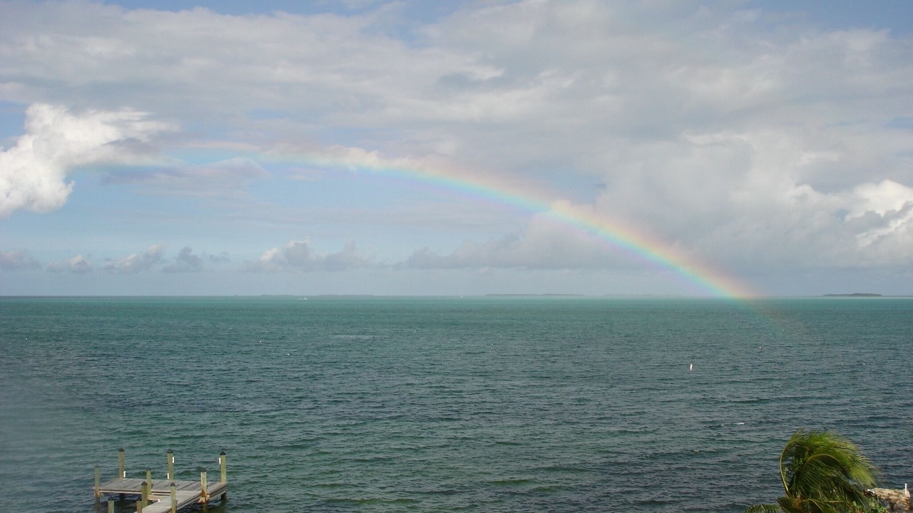 Photo of Others in Islamorada
