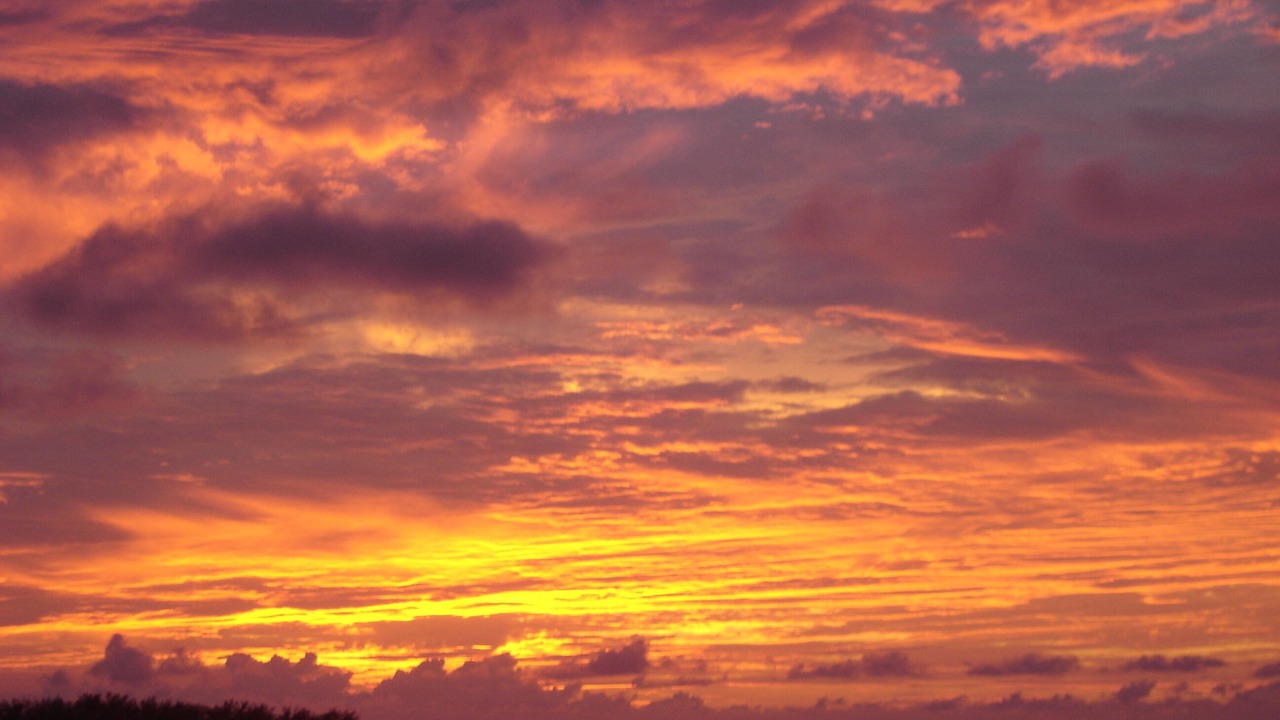 Photo of Others in Islamorada