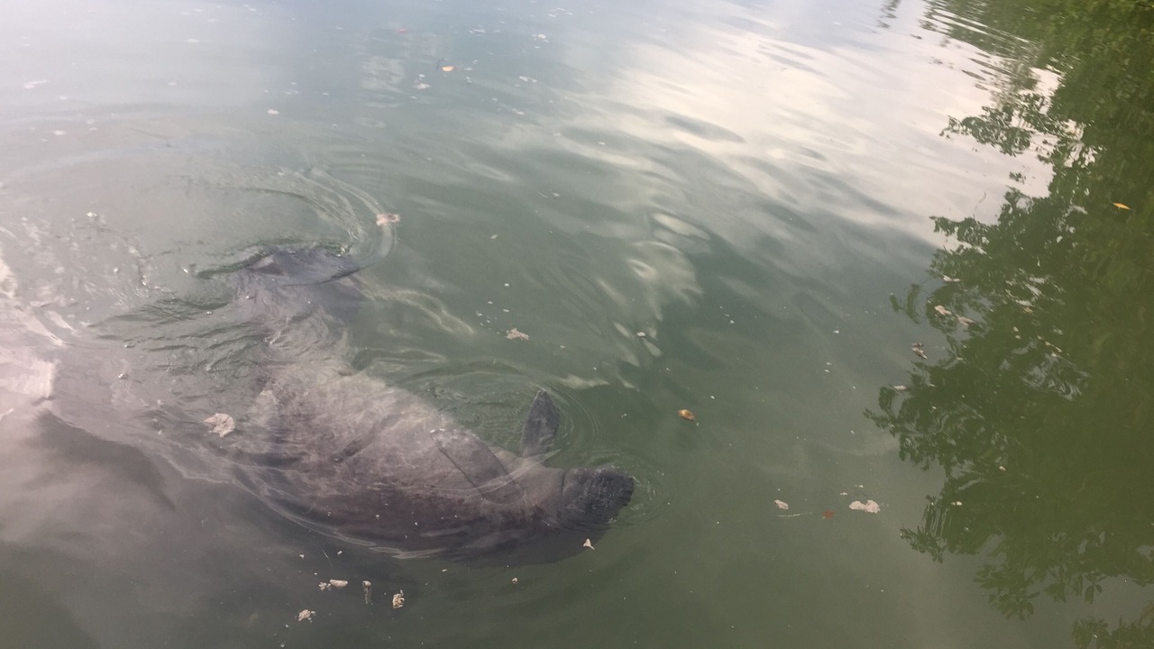 Photo of Outdoor in Islamorada