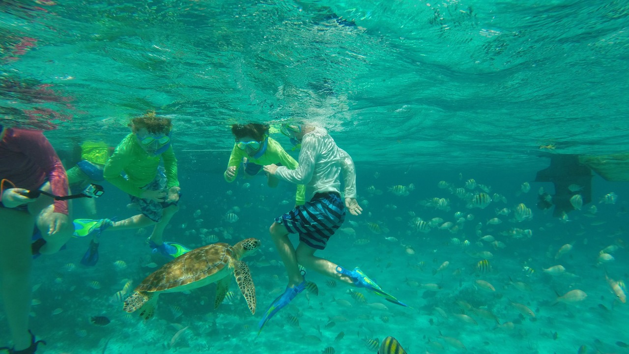 Photo of Others in Islamorada