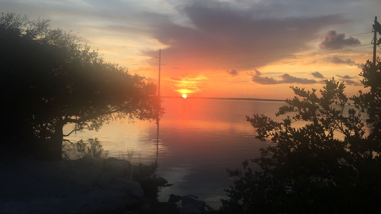 Photo of Others in Islamorada
