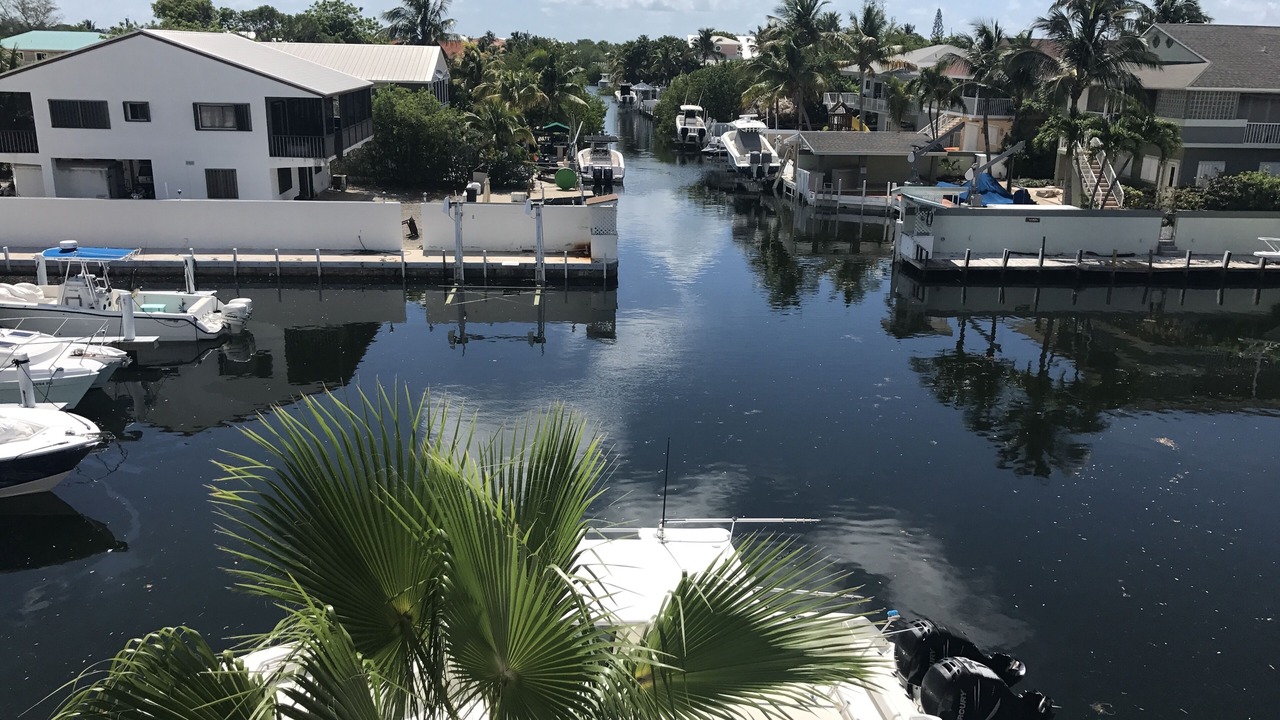 Photo of Others in Rock Harbor