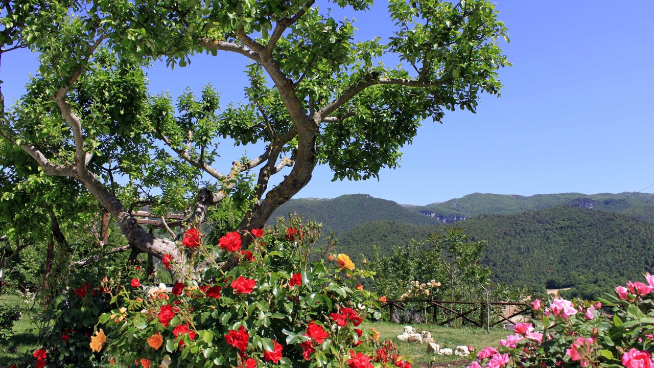Photo of Outdoor in Spoleto