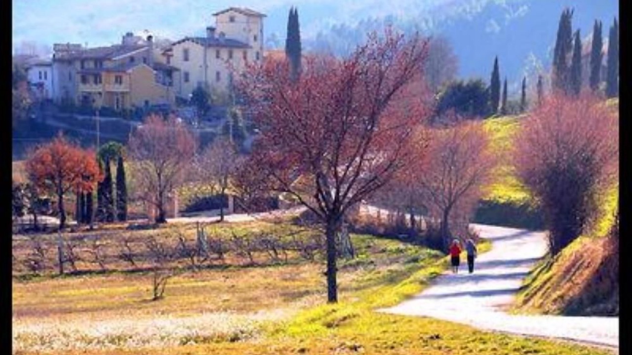 Photo of Others in Messenano