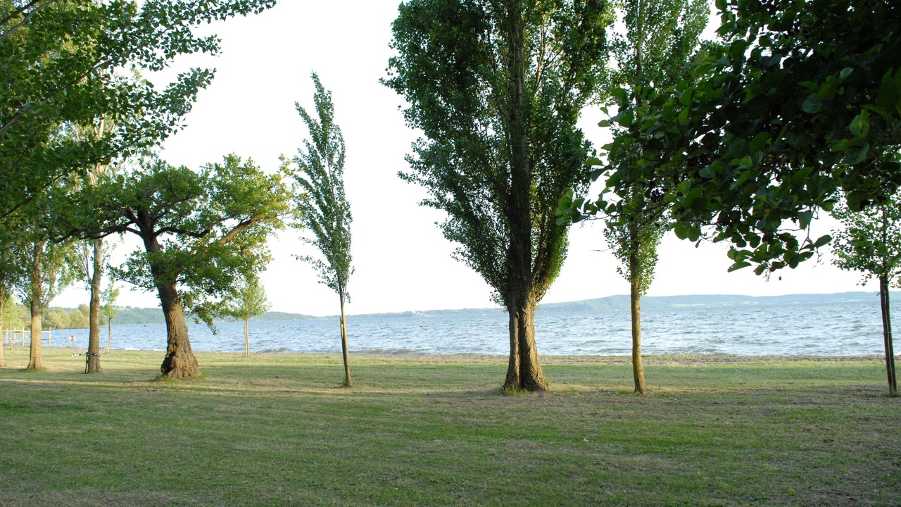 Photo of Others in Lake Bracciano