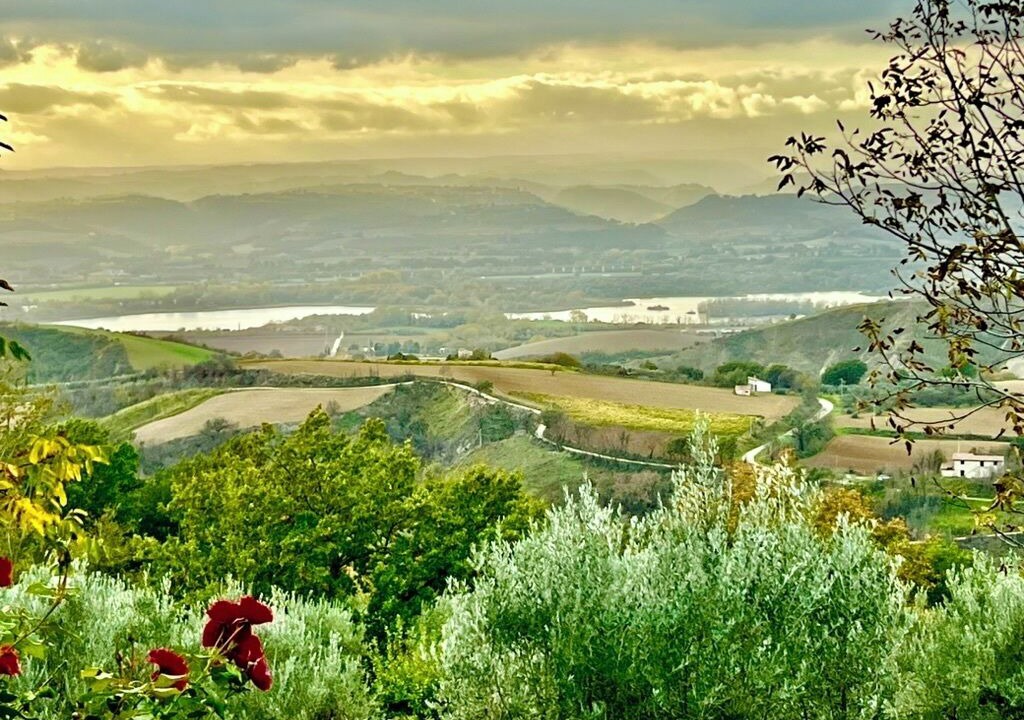 Photo of Others in Guardea