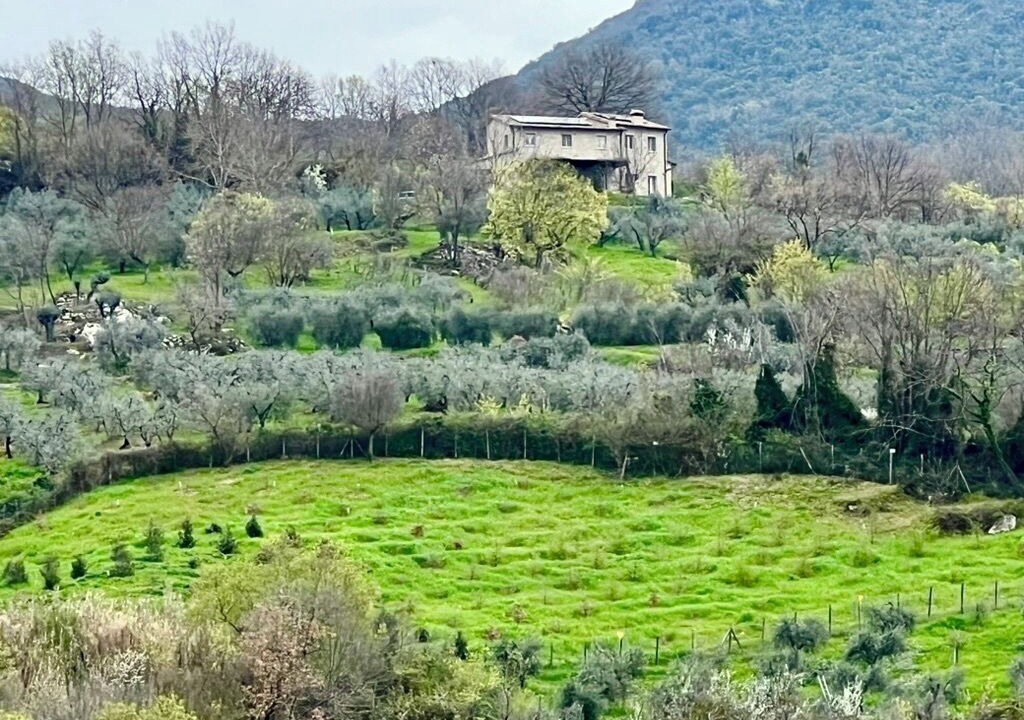 Photo of Others in Guardea