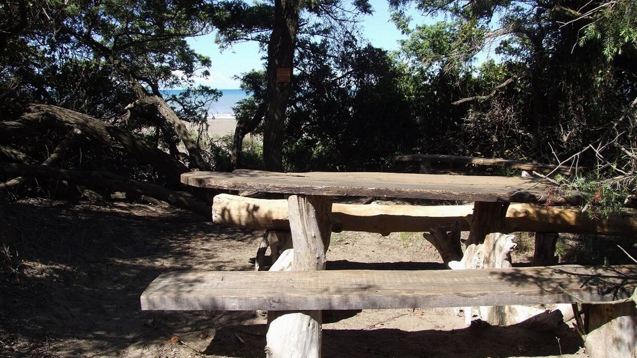 Photo of Outdoor in Marina di Castagneto Carducci