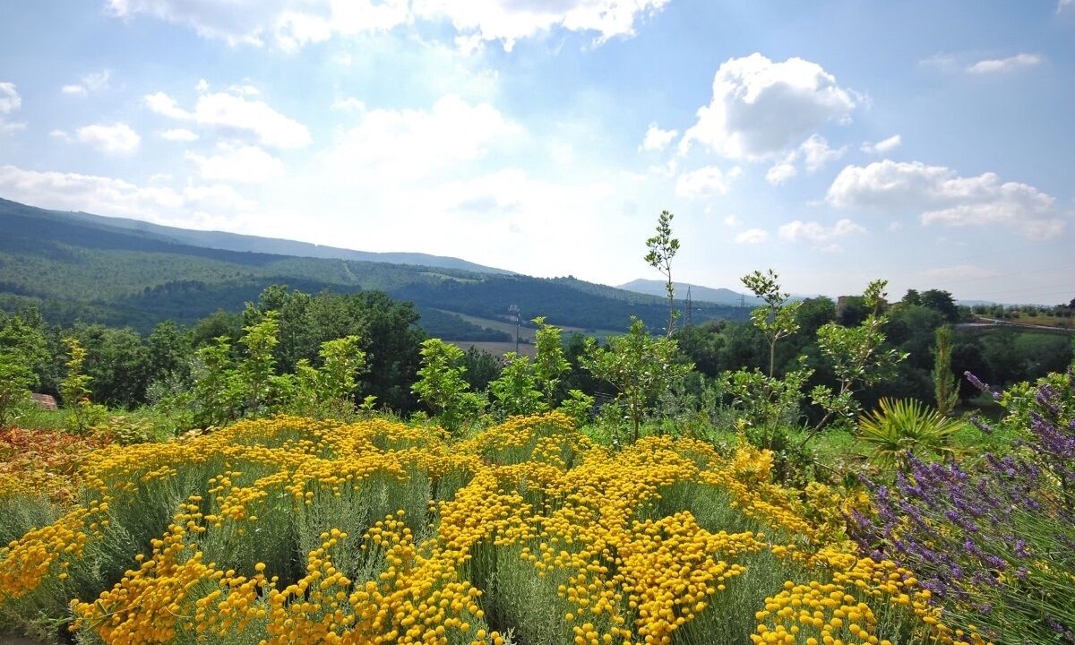 Photo of Outdoor in Casole d'Elsa
