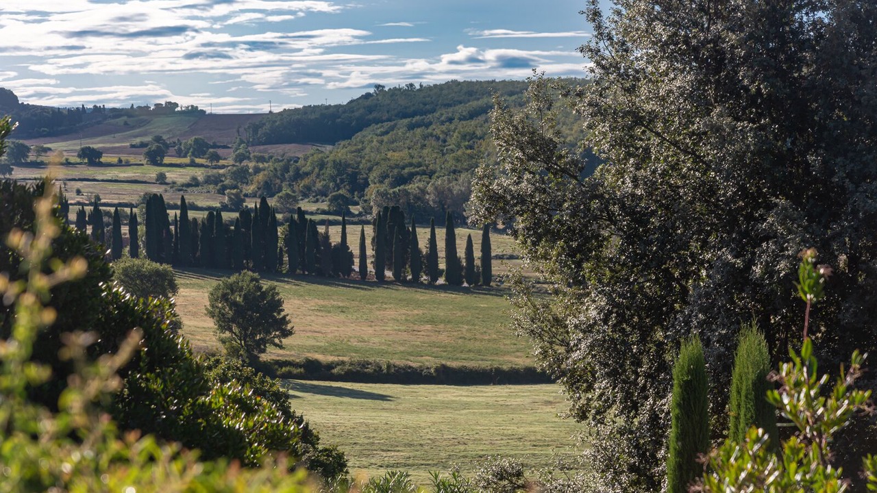 Photo of Others in Casole d'Elsa