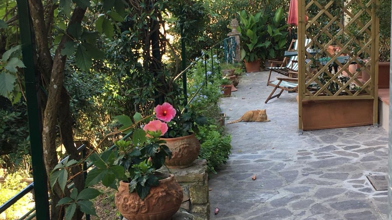 Photo of Patio Balcony in Rio nell'Elba