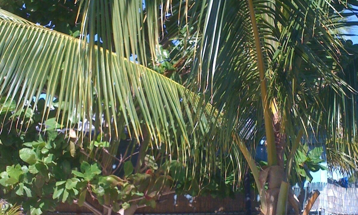 Photo of Patio Balcony in Twin Lakes