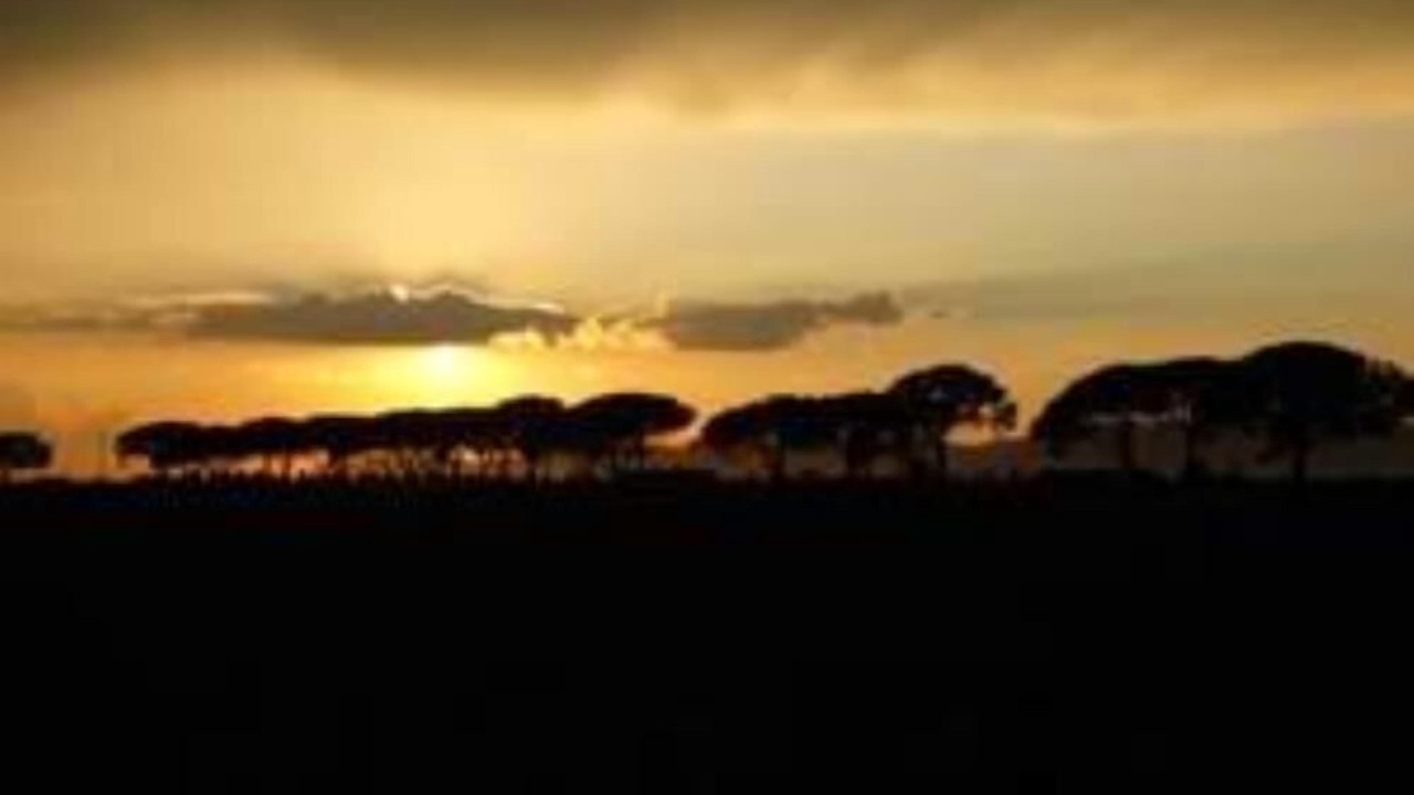 Photo of Outdoor in Punta Ala