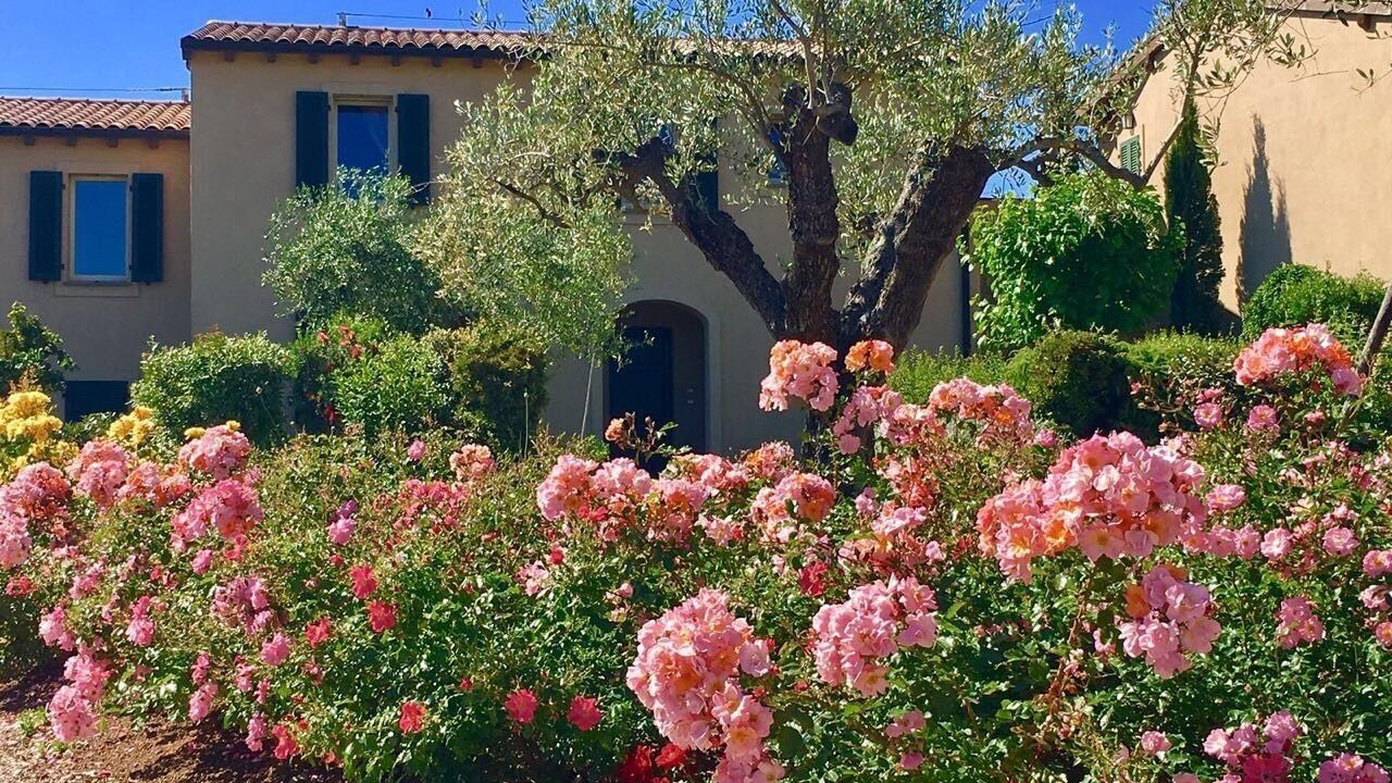 Photo of Others in Gavorrano