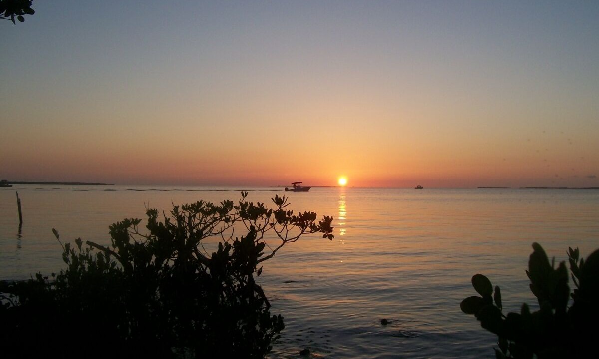 Photo of Others in Islamorada